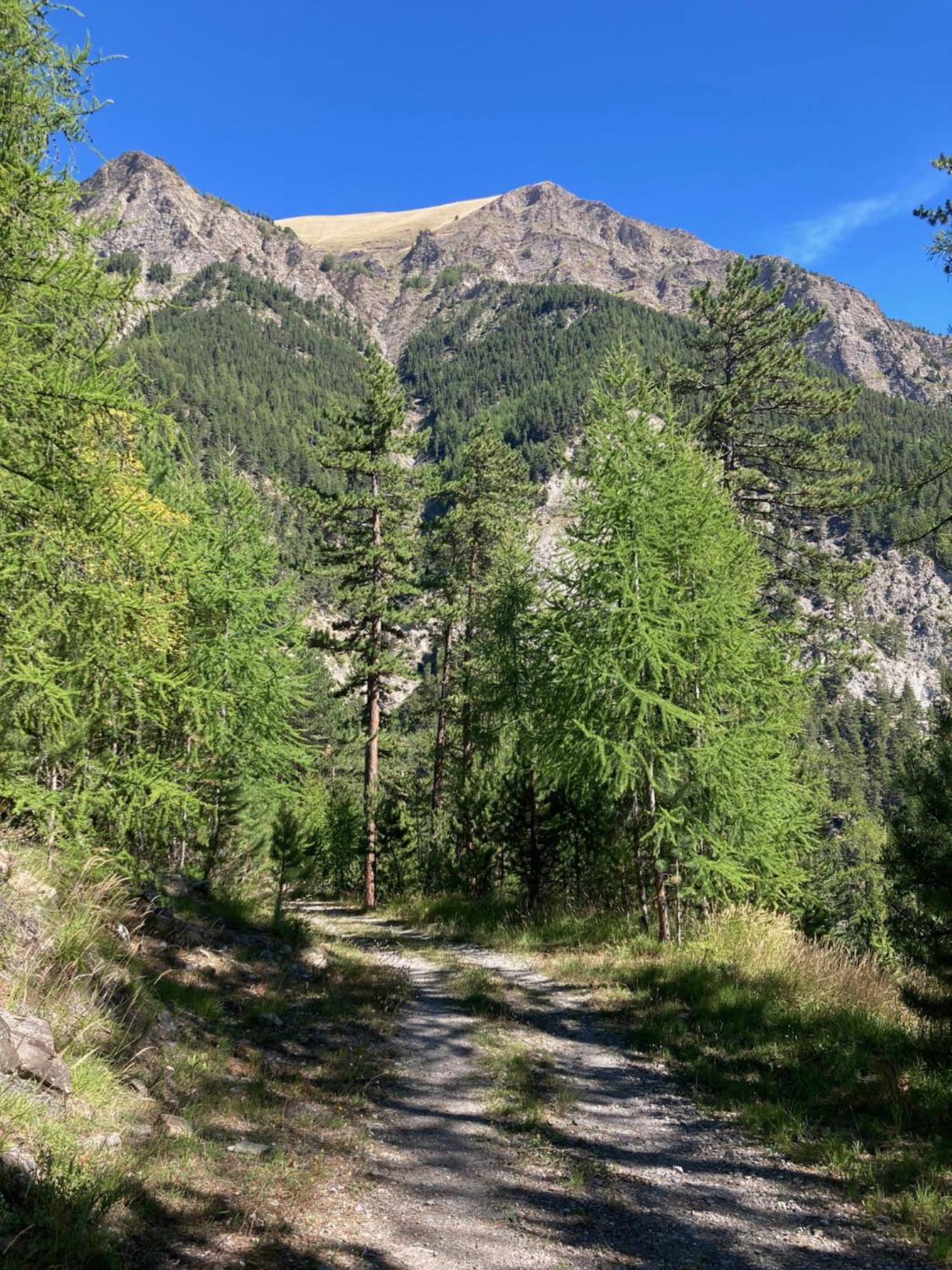 Apartamento Les Mélèzes Barcelonnette Exterior foto